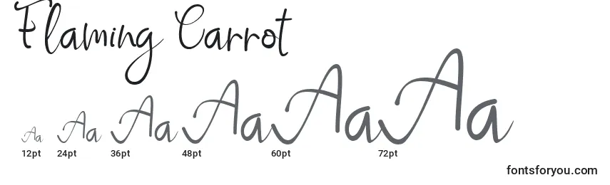 Flaming Carrot Font Sizes