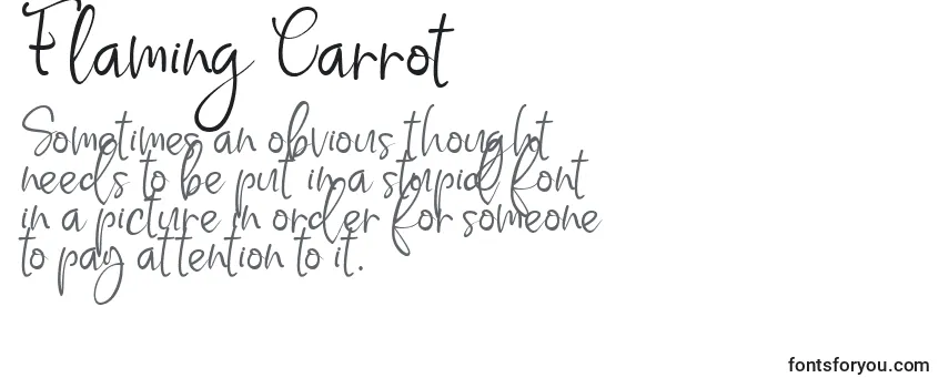 フォントFlaming Carrot