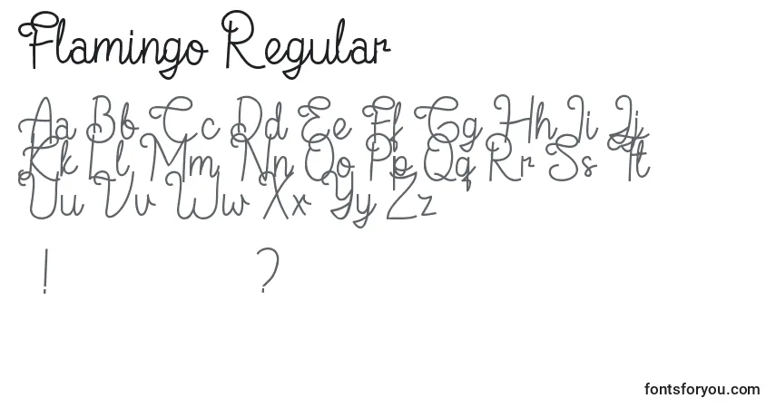 A fonte Flamingo Regular – alfabeto, números, caracteres especiais