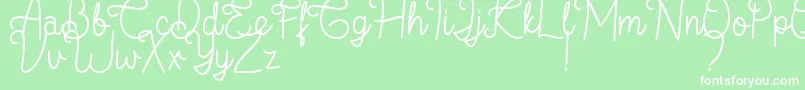 フォントFlamingo Regular – 緑の背景に白い文字
