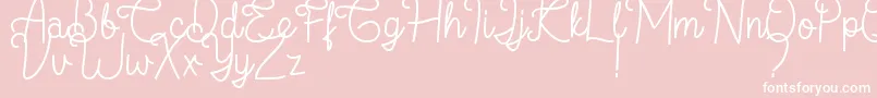フォントFlamingo Regular – ピンクの背景に白い文字