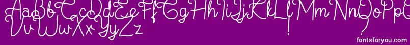Flamingo Regular-fontti – valkoiset fontit violetilla taustalla