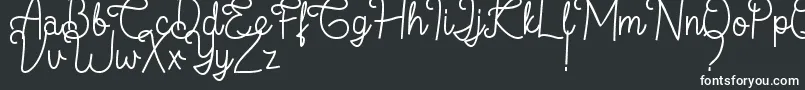 フォントFlamingo Regular – 黒い背景に白い文字