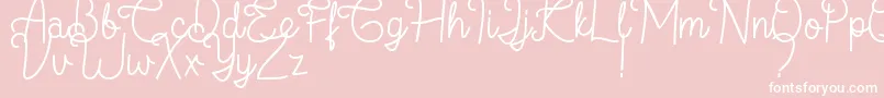 Flamingo Regular-Schriftart – Weiße Schriften auf rosa Hintergrund