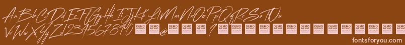 Flash Back   Demo Font – Pink Fonts on Brown Background