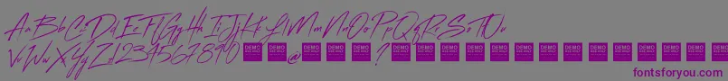 Flash Back   Demo Font – Purple Fonts on Gray Background