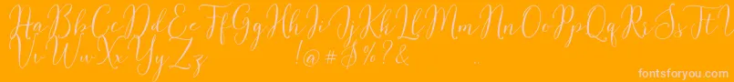 Flash Script Demo-Schriftart – Rosa Schriften auf orangefarbenem Hintergrund