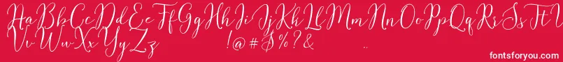 Flash Script Demo Font – White Fonts on Red Background