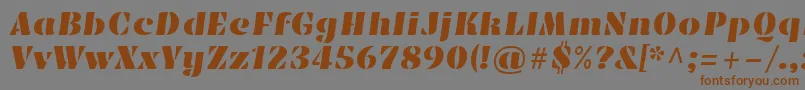 EmblemaoneRegular Font – Brown Fonts on Gray Background