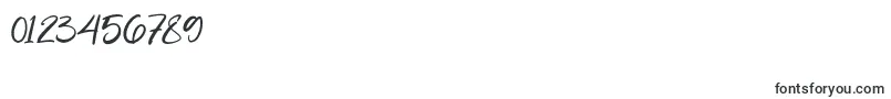 Flavellya Font – Fonts for Numbers and Digits
