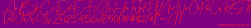 Flavellya Font – Red Fonts on Purple Background