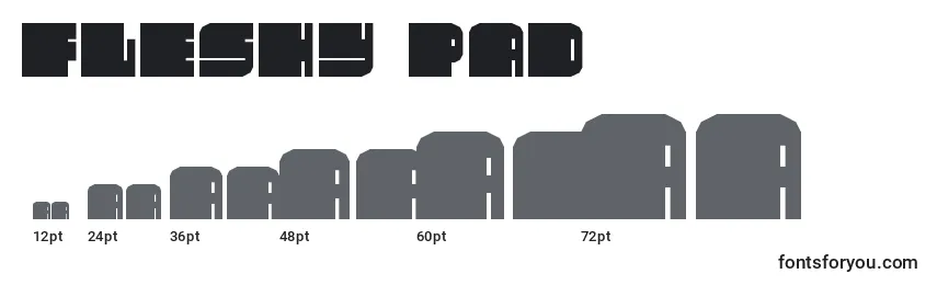 Fleshy pad Font Sizes
