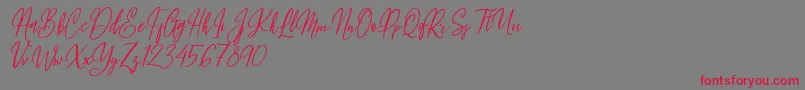 Fleur Bleue Font – Red Fonts on Gray Background