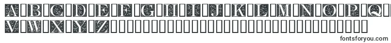 FleurCornerCaps Font – Fonts for Sony Vegas Pro