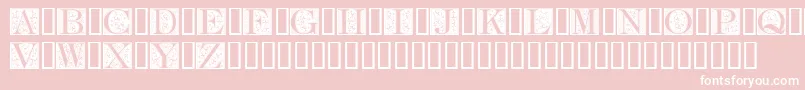 FleurCornerCaps-Schriftart – Weiße Schriften auf rosa Hintergrund