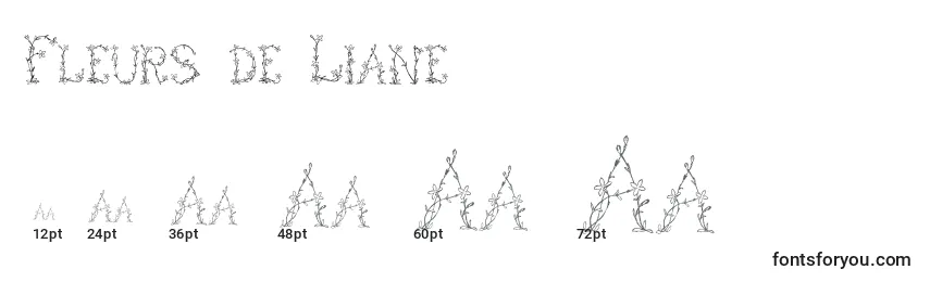 Размеры шрифта Fleurs de Liane