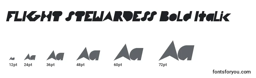 Größen der Schriftart FLIGHT STEWARDESS Bold Italic