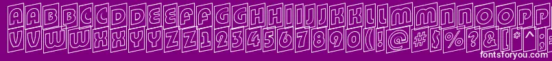 BighaustitulcmupotlRegular Font – White Fonts on Purple Background