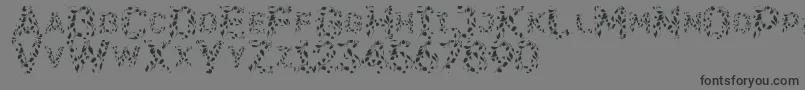 Flora SVG-Schriftart – Schwarze Schriften auf grauem Hintergrund