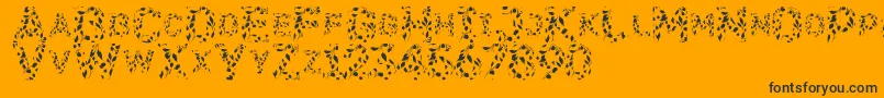 Flora SVG-Schriftart – Schwarze Schriften auf orangefarbenem Hintergrund