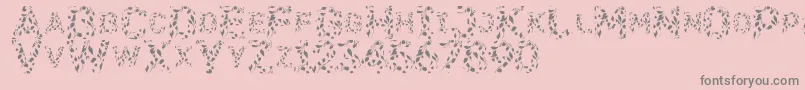 Flora SVG-Schriftart – Graue Schriften auf rosa Hintergrund