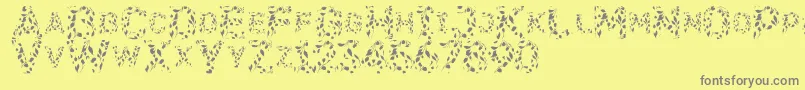 Flora SVG-Schriftart – Graue Schriften auf gelbem Hintergrund