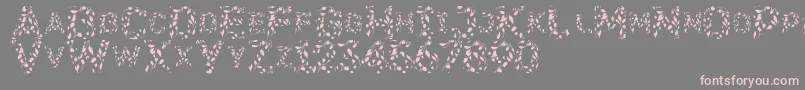 fuente Flora SVG – Fuentes Rosadas Sobre Fondo Gris