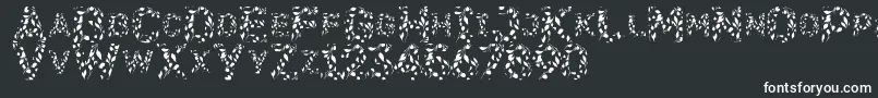 Flora SVG Font – White Fonts on Black Background