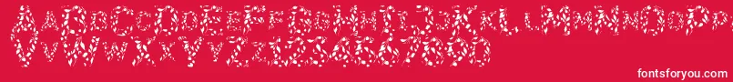フォントFlora SVG – 赤い背景に白い文字