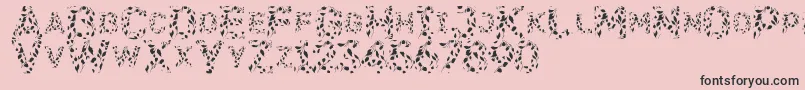 Flora SVG Font – Black Fonts on Pink Background