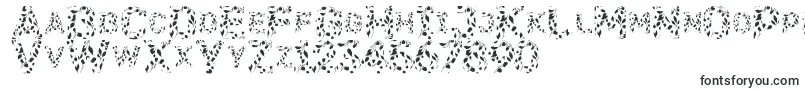 Шрифт Flora SVG – шрифты для афиш