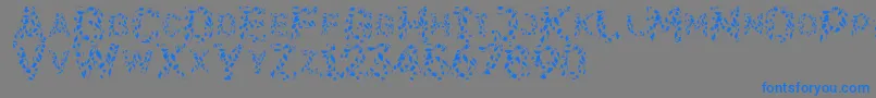 Flora SVG-Schriftart – Blaue Schriften auf grauem Hintergrund