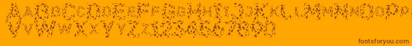 Flora SVG Font – Brown Fonts on Orange Background