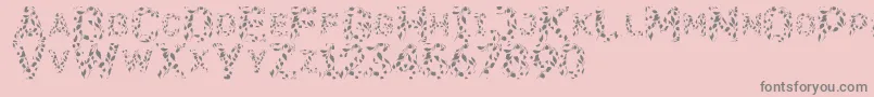 Flora SVG-Schriftart – Graue Schriften auf rosa Hintergrund