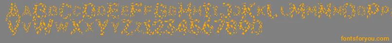 Flora SVG-Schriftart – Orangefarbene Schriften auf grauem Hintergrund