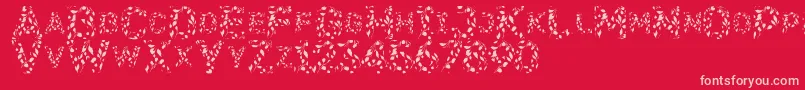 Flora SVG Font – Pink Fonts on Red Background