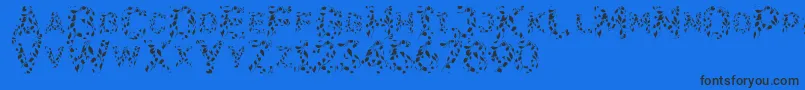 Flora-Schriftart – Schwarze Schriften auf blauem Hintergrund