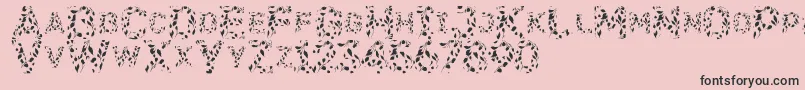 Flora-Schriftart – Schwarze Schriften auf rosa Hintergrund