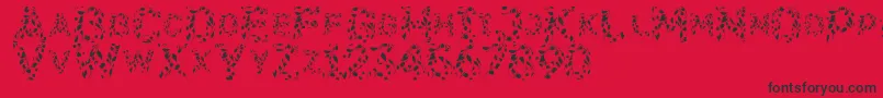 Flora Font – Black Fonts on Red Background