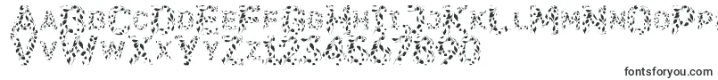 Шрифт Flora – OTF шрифты