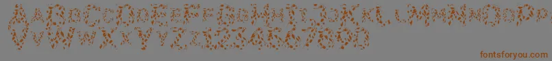 Flora Font – Brown Fonts on Gray Background