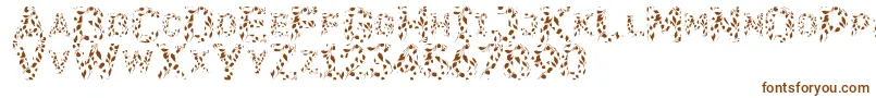 Flora Font – Brown Fonts on White Background