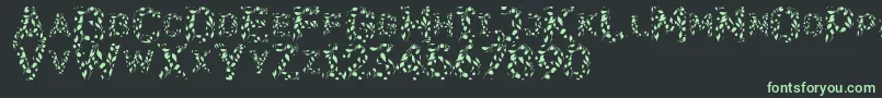 Flora Font – Green Fonts on Black Background