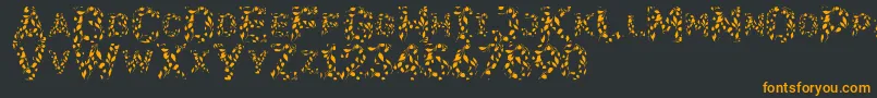 Flora Font – Orange Fonts on Black Background