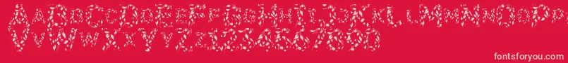 Flora Font – Pink Fonts on Red Background