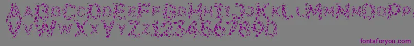 Flora Font – Purple Fonts on Gray Background