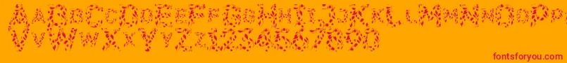 Flora Font – Red Fonts on Orange Background