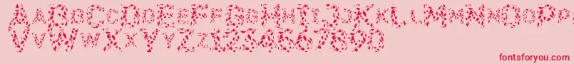 Flora-Schriftart – Rote Schriften auf rosa Hintergrund