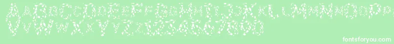 Flora Font – White Fonts on Green Background