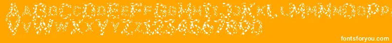 Flora-Schriftart – Weiße Schriften auf orangefarbenem Hintergrund